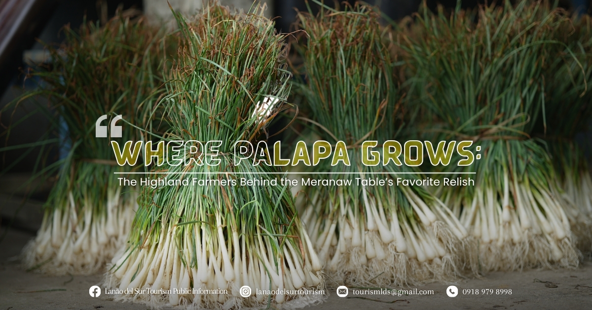 Palapa from the Highlands of Madamba